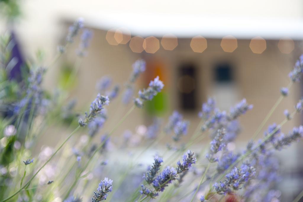 Logis Hotel Le Mistral - Restaurant - Montelimar Sud Hotel